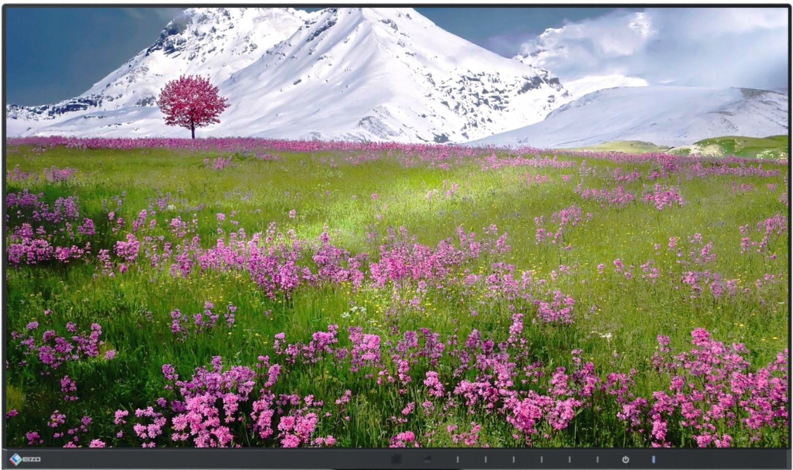 db47a509c6aad318acc519c4527052df