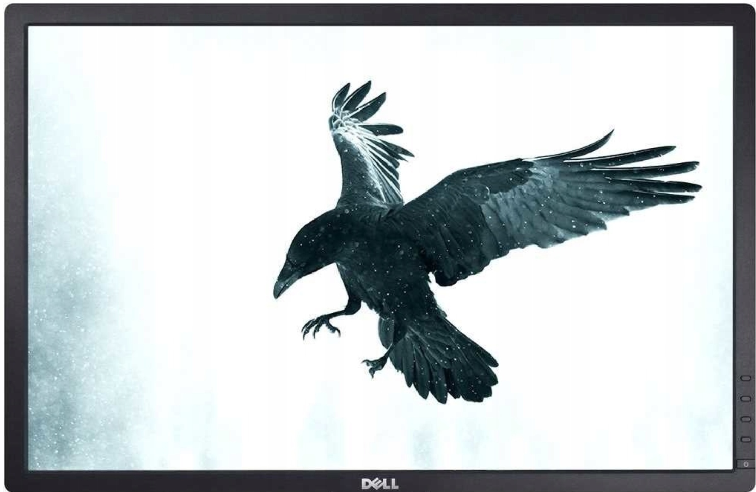 ef5358c68af20aa8c98194e373d69110